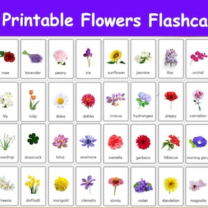 32 Flowers Flashcards / Image Cards for Kids, preschoolers. Nomenclature Cards. Printable Activity. Montessori.