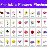 32 Flowers Flashcards / Image Cards for Kids, preschoolers. Nomenclature Cards. Printable Activity. Montessori.
