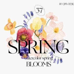 Watercolor spring flower clipart with pastel daffodil and blossoms, titled 'Spring'.