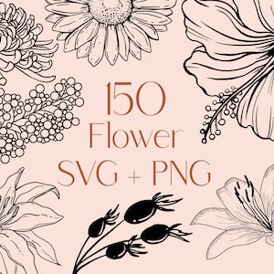 Botanical flower SVG and PNG bundle with hand-drawn florals and 150 flower text