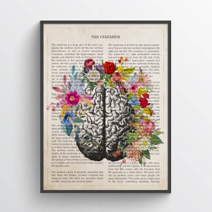 Framed brain anatomy art print with colorful flowers over detailed brain illustration