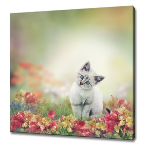 Canvas art print of a cute kitten sitting in a bed of colorful flowers