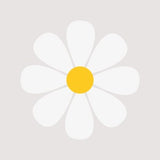 Daisy Flower PNG File Retro Daisy SVG Spring