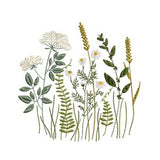 Wildflowers Machine Embroidery Floral Meadow Flower Botanical Grass Garden Pattern Instant Download Zip - ANY SIZE