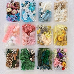 Mixed dried flowers assortment in small clear craft boxes, pink blue white and green