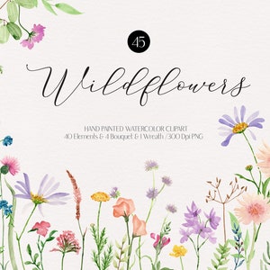 Watercolor wildflower clipart border with assorted blooms, leaves, and stems
