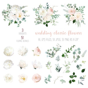 Blush pink rose and sage greenery, ivory peony, magnolia, beige dahlia, ranunculus flowers, eucalyptus vector collection. Floral pastel
