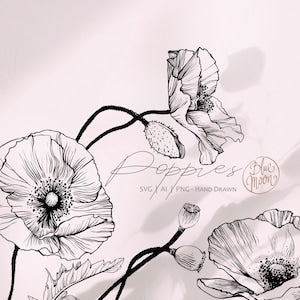 Hand-drawn poppy flower line art graphic with stems and petals, monochrome sketch