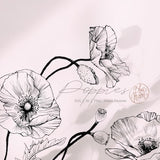 Poppy Flower, hand drawn floral graphics. Set of svg, ai and png clipart files, digital download