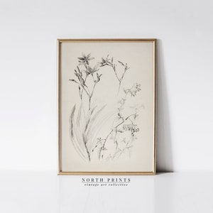 Framed botanical flower sketch print with thin neutral line art and stems