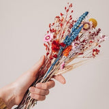 Exchange package flowers FlowerBar¨ "Flower meadow" dried flowers long-lasting
