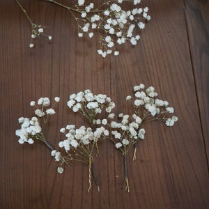 Set of dried baby’s breath hair pins with small white flower clusters on stems