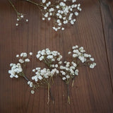 5 -24 pieces Baby's Breath Hair Pin, Gypsophila Hair Pin, Baby's Breath Bridal Hair Pin,  Bridal Hair Accessories, Dried Flower Hair Pins
