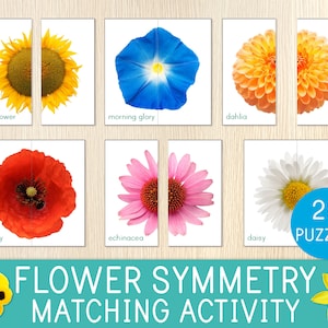 Flower symmetry matching activity puzzle cards with colorful flower image tiles