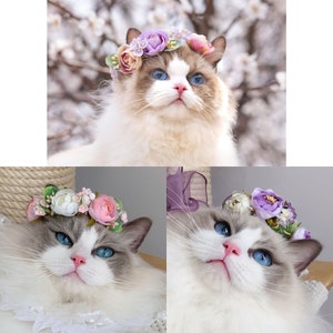 Floral pet flower crown with purple and pink blossoms and green leaves on cat