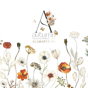 Watercolor wildflower clipart set with autumn flowers, leaves, and stems in rust and beige
