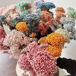 Preserved rice flower bunch with pink, orange, and teal blossoms