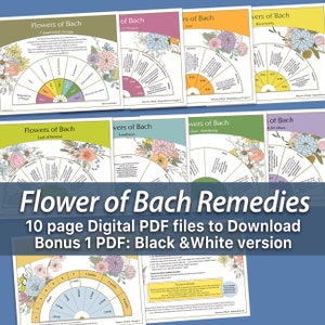 Flower essence dowsing pendulum chart set with circular color wheel designs