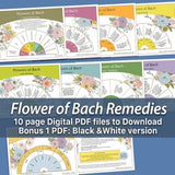 Flower essence dowsing pendulum chart set with circular color wheel designs