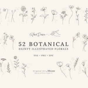 Botanical dainty illustrated florals clipart set with single-stem hand-drawn line flowers