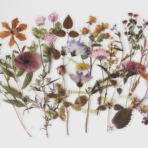 Pressed wildflower sticker set with assorted floral and leaf designs, butterfly shapes