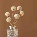 10 pcs dried Scabiosa Pod_preserved Pristimera flowers balls_white flowers for vase_DIY handcraft supply_home decoration_wedding decor