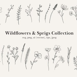Wildflower clip art sheet with line-drawn stems, flowers, and leaves