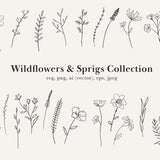 Wildflower Clip Art, Wildflower Tattoo, Wildflower Drawings, Wildflower SVG, Flower Clip Art, Wildflower Vectors, Wild Flower drawing