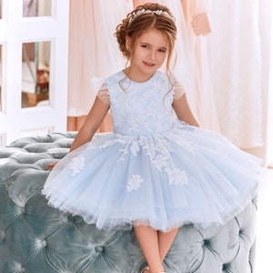 Dusty blue tulle flower girl tutu dress with lace appliques and short puff sleeves