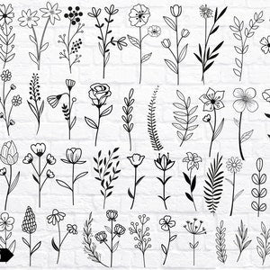 Botanical line art plant SVG set with flowers and leaves, black outlines