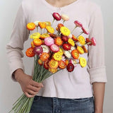 mixed dried strawflowers bunch_dried strawflowers heads with stems_dried flowers arrangement_home decoration_wedding flowers decor