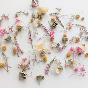 Assorted dried tiny flowers for resin crafts, small pink and yellow blooms, loose pieces