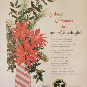 Vintage Christmas poinsettia print ad with red flowers, striped ribbon, and holly leaves