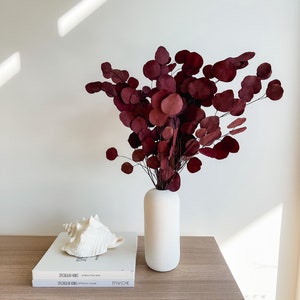 Dried burgundy eucalyptus stems in white vase, preserved floral home accent