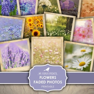 Printable faded flower photograph cards, mixed lavender, sunflower, daisies, instant camera style