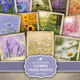 Photos, Faded, Flowers, Junk Journal, Photographs, Pictures, Blue, Lavender, Instant Camera, My Porch Prints, Printable Digital Download