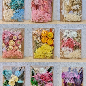 Set of dried flower-filled craft envelopes with assorted pastel and bright blooms