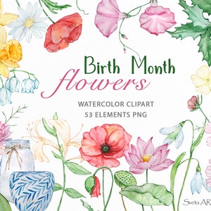 Watercolor birth month flower clipart set with wildflower bouquet PNG elements