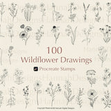 Procreate Wildflower Stamps | Wildflower Stamps | Procreate Flower | Procreate Botanical | Floral Stamps | Procreate Stamp Bundle |Procreate