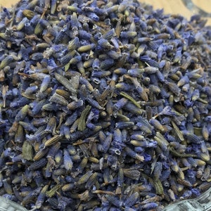 Dried English lavender flowers (Lavandula angustifolia), blue-purple buds
