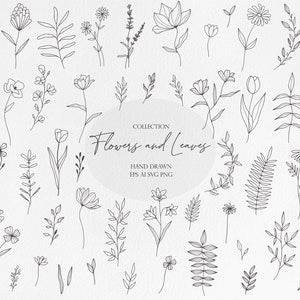 Monochrome botanical line art clipart set with flowers, leaves, and stems
