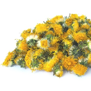 Organic dandelion flowers, dried yellow blossoms in a loose bundle
