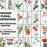110 Beautiful Flower Botanical Illustration Plates Vintage Printable Wall Art Bundle Digital Instant Download Commercial Use