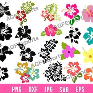 Tropical hibiscus flower SVG clip art set with multicolor blooms and leaves