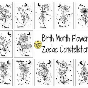Birth month flower SVG bundle: black line-art constellation designs in multiple thumbnails