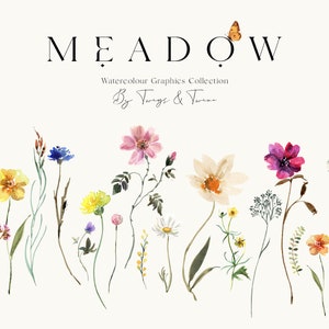 Watercolor wildflower illustration set with blue, pink, and yellow flowers on white background