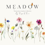 Meadow - watercolour wild flower illustrations - ready-made arrangements - commercial use - instant download