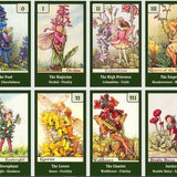 Flower Fairies Tarot deck. Vintage art tarot cards
