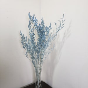 Preserved caspia stems in baby blue with airy feathery texture