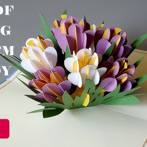 Crocus pop-up flower card, open design with purple and white blooms and green leaves
